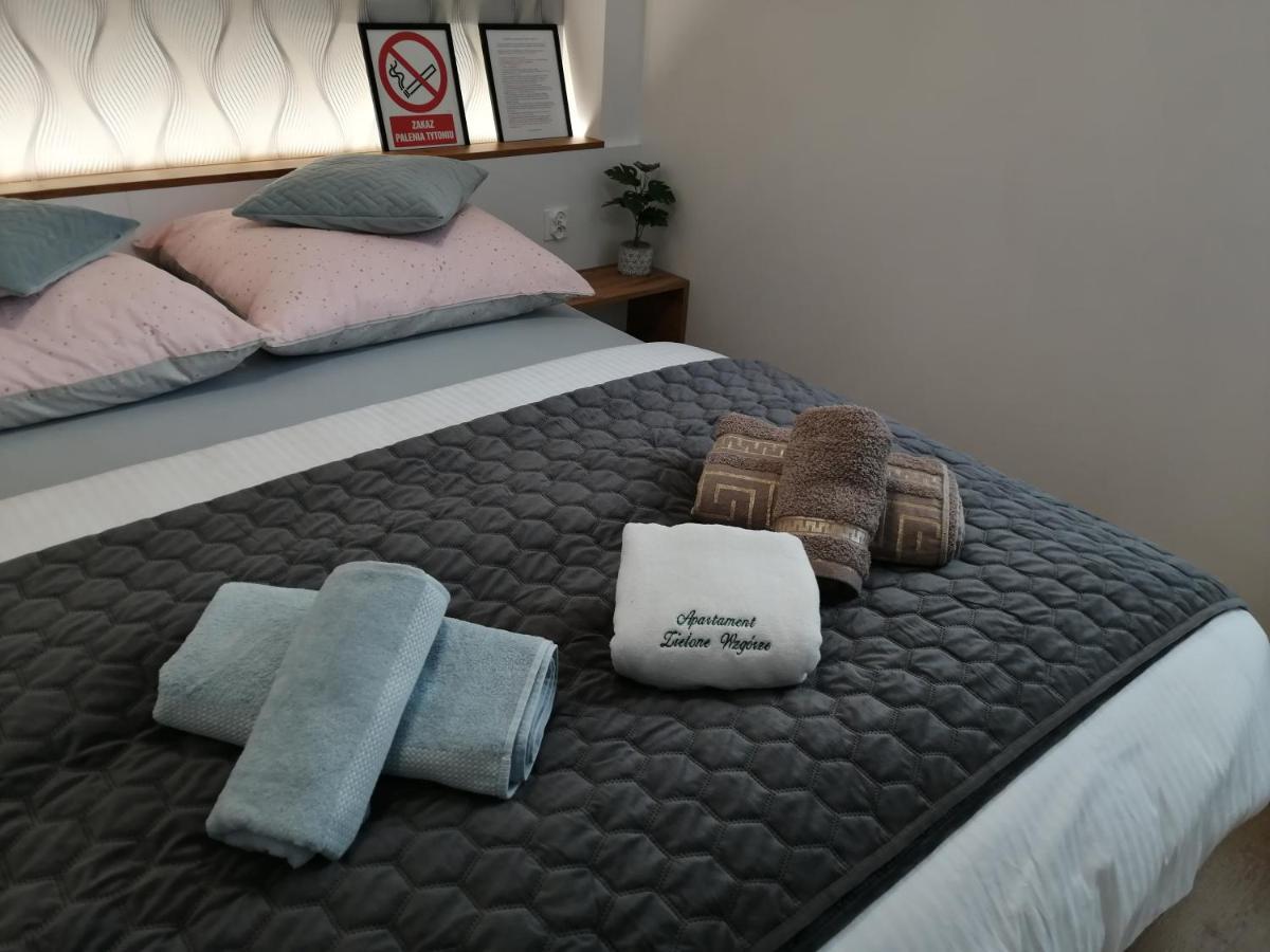Apartament Zielone Wzgorze 2 Jelenia Gora Dış mekan fotoğraf